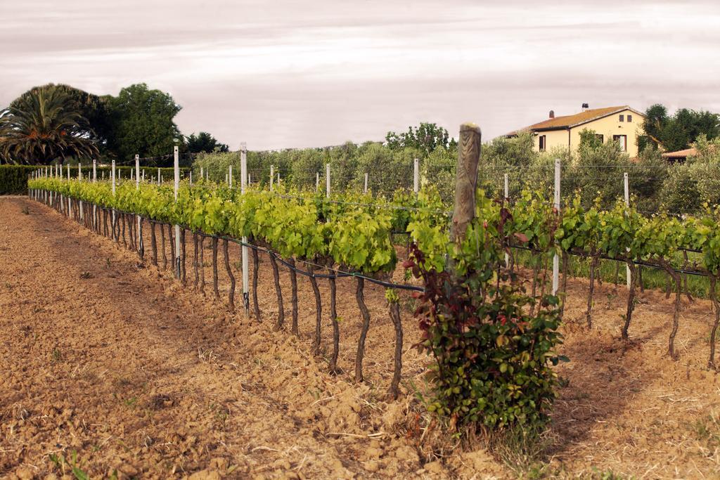 Il Giardino dell'Osa Villa Fonteblanda Esterno foto